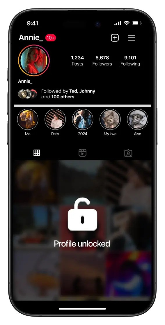 instagram private account viewer